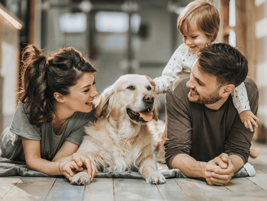 Essential Tips for Flame-Proofing Your Family and Home