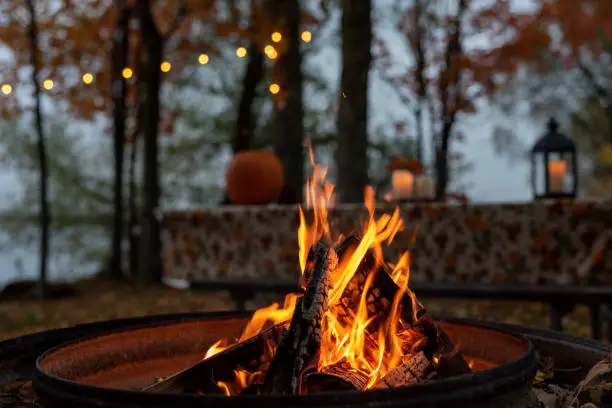 Fire blanket for wildfires