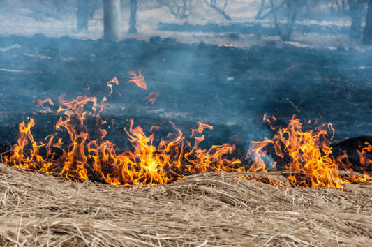 put-camp-fire-out-with-fire-blanket